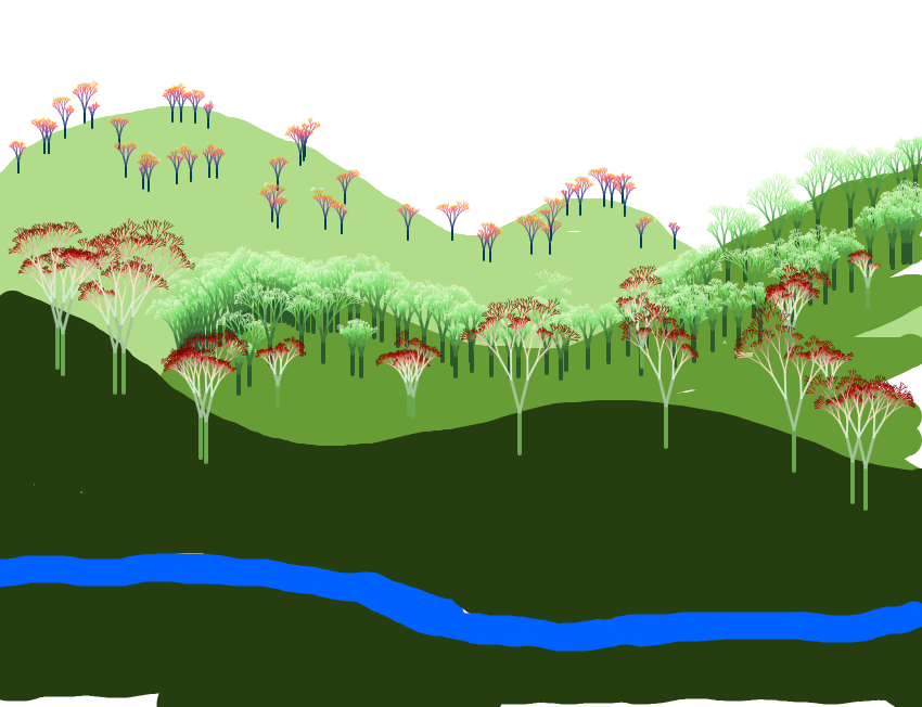 fractal-forest_2025_09_10_11_54_47