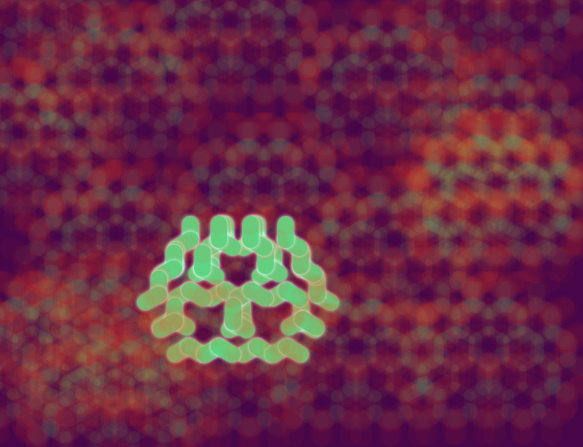 fractal-forest_2025_09_24_07_12_29